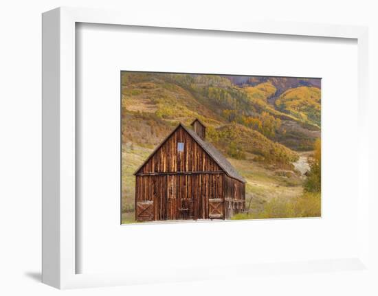 Weathered Wooden Barn Near Telluride in the Uncompahgre National Forest, Colorado, Usa-Chuck Haney-Framed Photographic Print