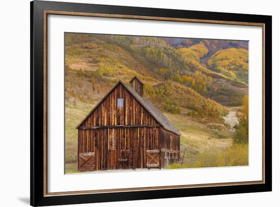 Weathered Wooden Barn Near Telluride in the Uncompahgre National Forest, Colorado, Usa-Chuck Haney-Framed Photographic Print