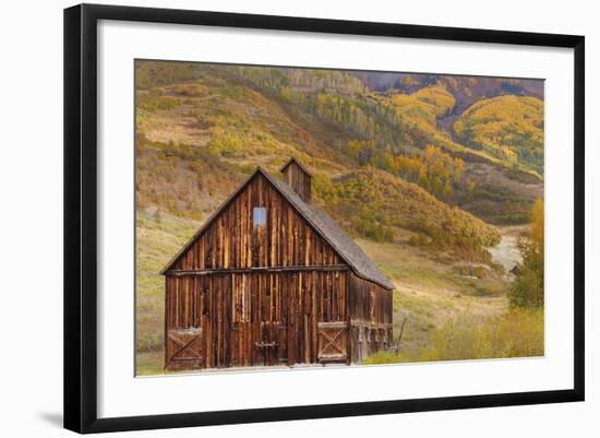 Weathered Wooden Barn Near Telluride in the Uncompahgre National Forest, Colorado, Usa-Chuck Haney-Framed Photographic Print