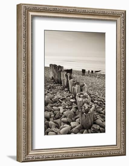 Weathered Wooden Groyne on Bossington Beach at Sunset, Exmoor National Park, Somerset-Adam Burton-Framed Photographic Print