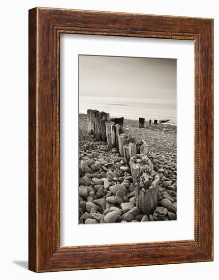 Weathered Wooden Groyne on Bossington Beach at Sunset, Exmoor National Park, Somerset-Adam Burton-Framed Photographic Print