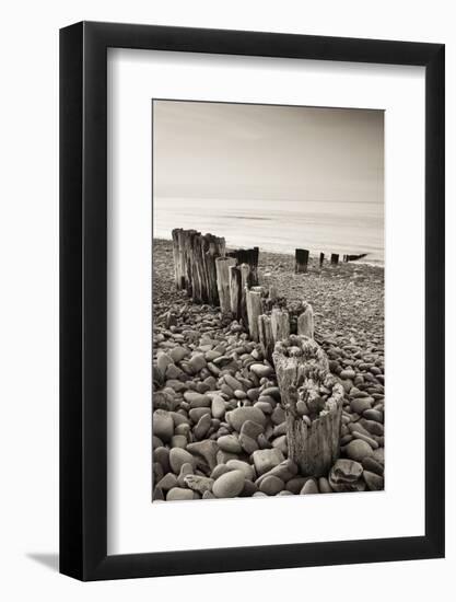 Weathered Wooden Groyne on Bossington Beach at Sunset, Exmoor National Park, Somerset-Adam Burton-Framed Photographic Print