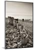 Weathered Wooden Groyne on Bossington Beach at Sunset, Exmoor National Park, Somerset-Adam Burton-Mounted Photographic Print