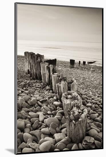 Weathered Wooden Groyne on Bossington Beach at Sunset, Exmoor National Park, Somerset-Adam Burton-Mounted Photographic Print