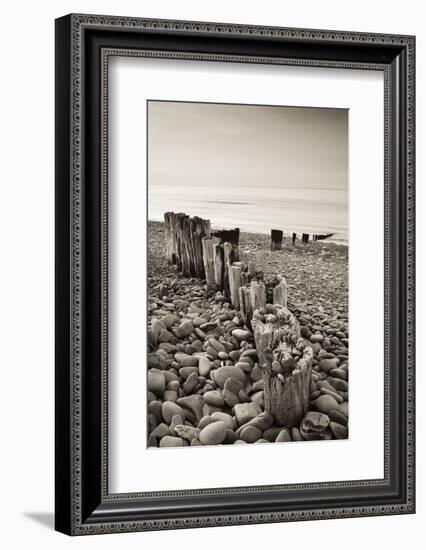 Weathered Wooden Groyne on Bossington Beach at Sunset, Exmoor National Park, Somerset-Adam Burton-Framed Photographic Print