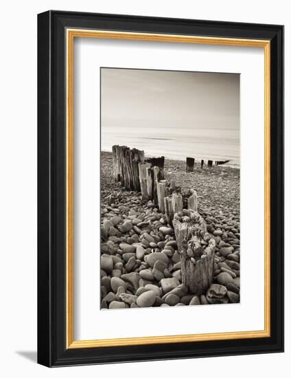 Weathered Wooden Groyne on Bossington Beach at Sunset, Exmoor National Park, Somerset-Adam Burton-Framed Photographic Print