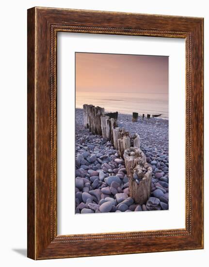 Weathered Wooden Groyne on Bossington Beach at Sunset, Exmoor National Park, Somerset-Adam Burton-Framed Photographic Print