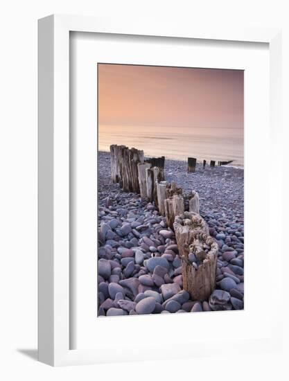 Weathered Wooden Groyne on Bossington Beach at Sunset, Exmoor National Park, Somerset-Adam Burton-Framed Photographic Print