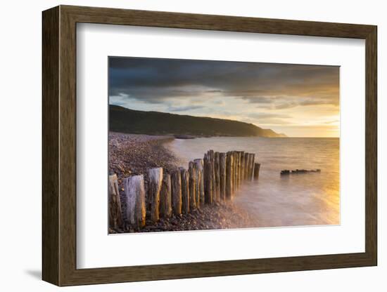 Weathered wooden posts on Bossington Beach, Exmoor National Park, Somerset, England. Summer (July) -Adam Burton-Framed Photographic Print