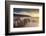 Weathered wooden posts on Bossington Beach, Exmoor National Park, Somerset, England. Summer (July) -Adam Burton-Framed Photographic Print