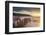 Weathered wooden posts on Bossington Beach, Exmoor National Park, Somerset, England. Summer (July) -Adam Burton-Framed Photographic Print