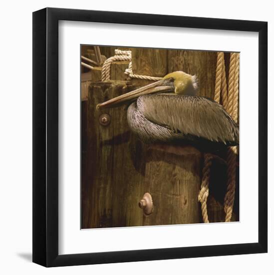 Weathered-Steve Hunziker-Framed Art Print