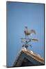 Weathervane, Beuvron en Auge, Normandy, France-Jim Engelbrecht-Mounted Photographic Print