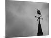 Premium Photographic Print