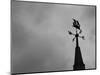 Weathervane-null-Mounted Photographic Print