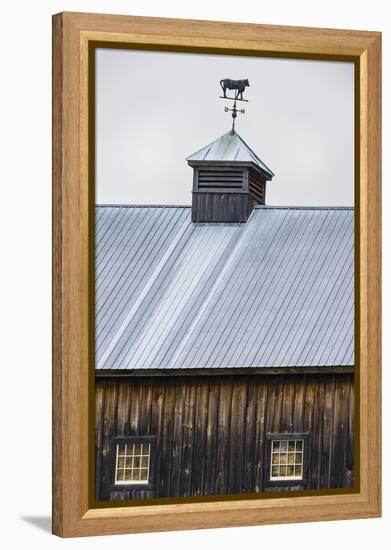 Weathervane-Brenda Petrella Photography LLC-Framed Premier Image Canvas