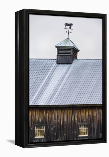 Weathervane-Brenda Petrella Photography LLC-Framed Premier Image Canvas