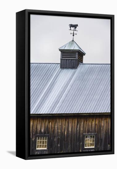 Weathervane-Brenda Petrella Photography LLC-Framed Premier Image Canvas