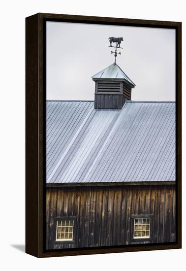 Weathervane-Brenda Petrella Photography LLC-Framed Premier Image Canvas