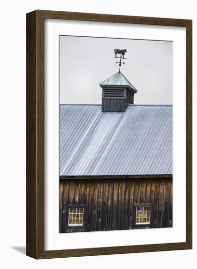 Weathervane-Brenda Petrella Photography LLC-Framed Giclee Print