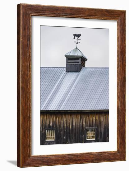 Weathervane-Brenda Petrella Photography LLC-Framed Giclee Print