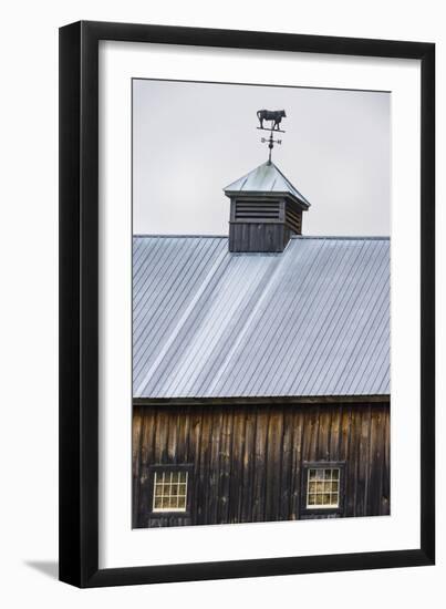 Weathervane-Brenda Petrella Photography LLC-Framed Giclee Print