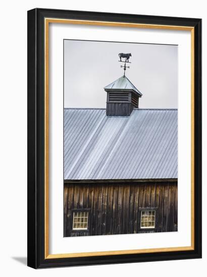 Weathervane-Brenda Petrella Photography LLC-Framed Giclee Print