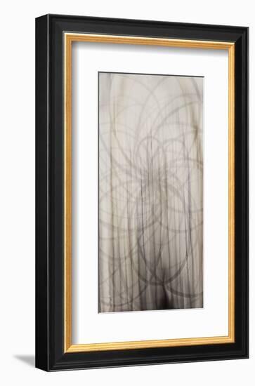 Weave-Candice Alford-Framed Giclee Print