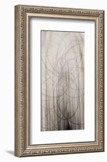 Weave-Candice Alford-Framed Art Print