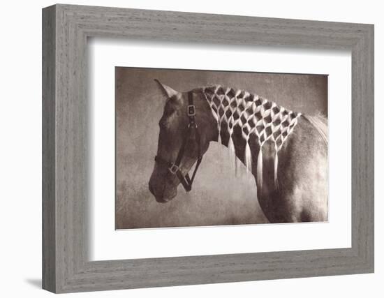 Weave-Susan Friedman-Framed Photographic Print