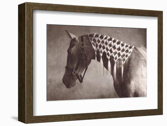 Weave-Susan Friedman-Framed Photographic Print