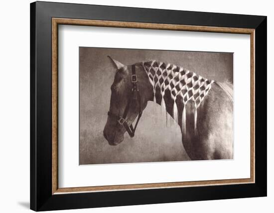 Weave-Susan Friedman-Framed Photographic Print