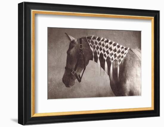 Weave-Susan Friedman-Framed Photographic Print
