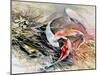 Weaving Fish-Mary Smith-Mounted Giclee Print