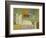 Weaving II-Herb Dickinson-Framed Photographic Print