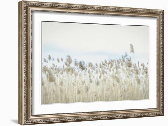 Weaving Through Earth and Sky-Eunika Rogers-Framed Art Print