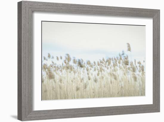 Weaving Through Earth and Sky-Eunika Rogers-Framed Art Print