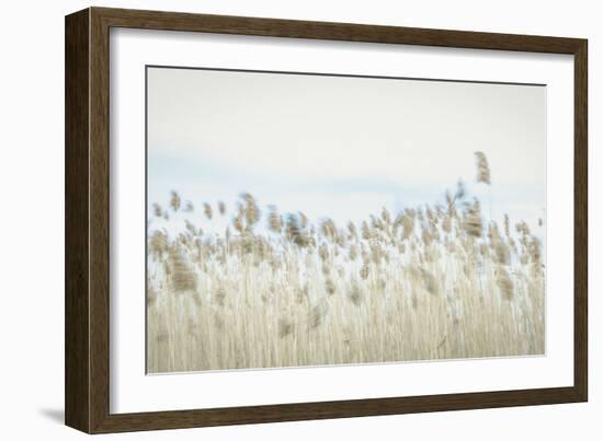 Weaving Through Earth and Sky-Eunika Rogers-Framed Art Print