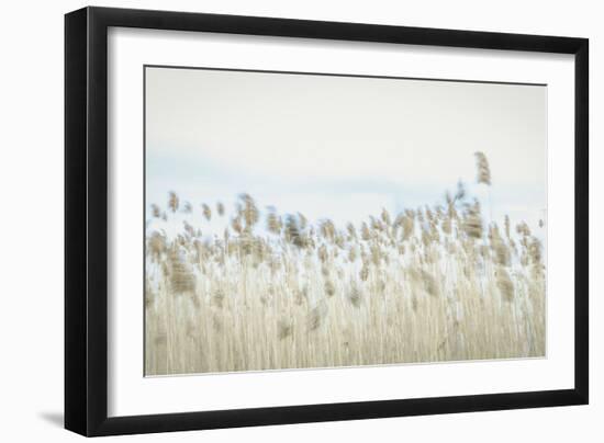 Weaving Through Earth and Sky-Eunika Rogers-Framed Art Print