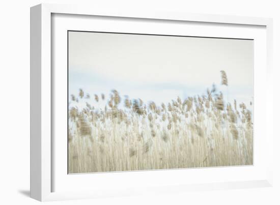 Weaving Through Earth and Sky-Eunika Rogers-Framed Art Print