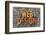 Web Design-PixelsAway-Framed Photographic Print