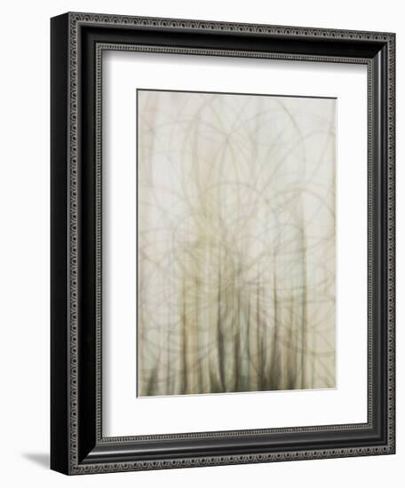 Web-Candice Alford-Framed Giclee Print