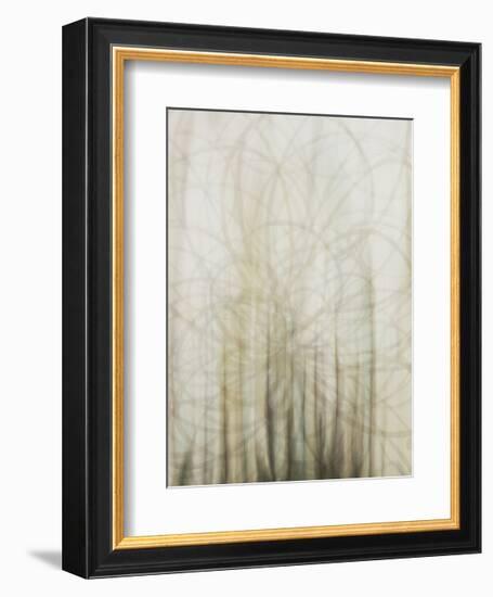 Web-Candice Alford-Framed Giclee Print