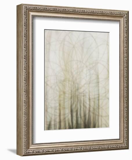 Web-Candice Alford-Framed Art Print