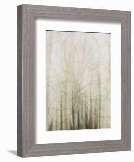 Web-Candice Alford-Framed Art Print