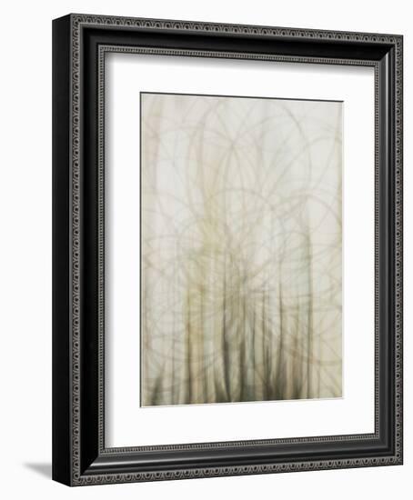 Web-Candice Alford-Framed Art Print