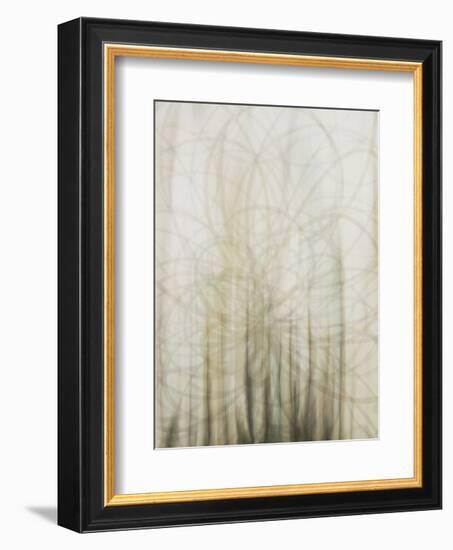 Web-Candice Alford-Framed Art Print