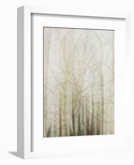 Web-Candice Alford-Framed Art Print