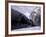 Weddell Fur Seal Cow and Pup, Antarctica-William Sutton-Framed Photographic Print