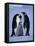 Weddell Sea, Riiser-Larsen Ice Shelf, Emperor Penguins and Chick, Antarctica-Allan White-Framed Premier Image Canvas